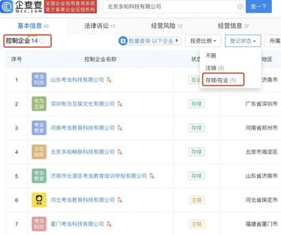 幕后 知名教培網站倒下，創始人“在國外走流程”的省思與回響
